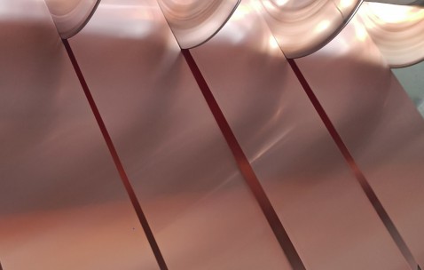 剛果（金）政府稱(chēng)沖突已致773人死亡