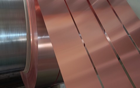 12歲東北虎打針時瑟瑟發(fā)抖