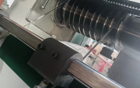 海關查獲1.2公斤生腌響尾蛇